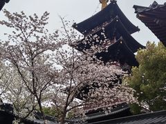 -寒山寺