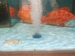 -阿伟海鲜楼·福建菜(延寿店)