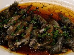 豉汁蒸跳跳鱼-香山家宴