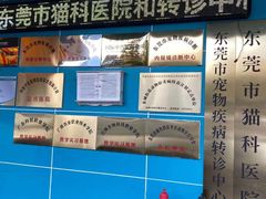 -东莞宠友24H宠物中心医院·转诊夜诊·异宠(新河北路院)