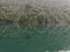 -鼎湖山风景区