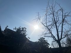 -龙华素斋(龙华路店)