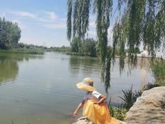 -马家湾湿地公园