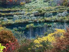 -九寨沟-树正沟