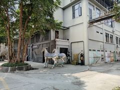 -广东紫坭糖厂(桥头路)