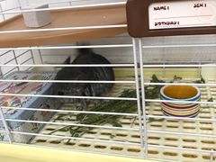 -龙猫仔乐园(惠福东路店)