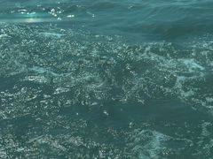 -巢湖姥山岛