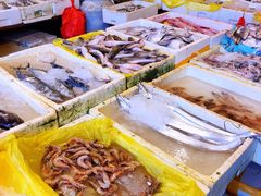 -芦潮港集贸市场