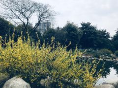 -堤角公园