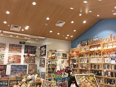 -猫的天空之城概念书店(印象城购物中心店)