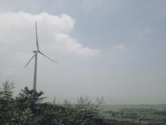 -合肥滨湖国家森林公园