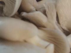 -大妙火锅·非物质文化遗产(东湖公园店)