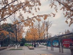 -重庆中央公园(渝北区)