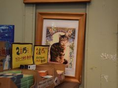 纪念品-猫咪博物馆(顶澳仔猫街店)