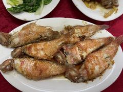 -蛇口康乐快餐鱼仔档(翠苑小区店)