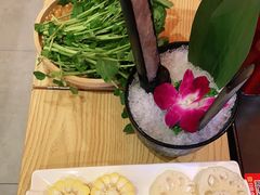 -淼福猪肚鸡·椰子鸡火锅(大沙地店)