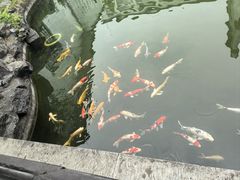 -镇江中国醋文化博物馆