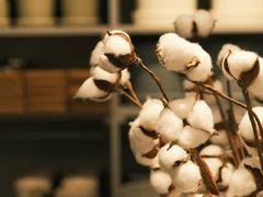 -ARKET CAFÉ(三里屯太古里店)