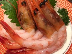 -元气寿司(东方宝泰店)