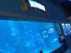 -南昌海洋公园