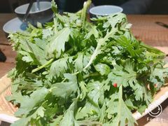 -福宝漠北·牛羊肉(广埠屯店)