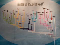 -安徽省地质博物馆