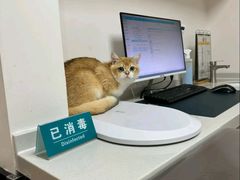 -派联宠物医院·24h·CT·异宠