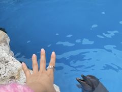 -珠海长隆海洋王国