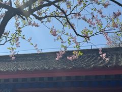 -红螺寺