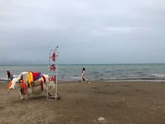 -青海湖国家重点风景名胜区