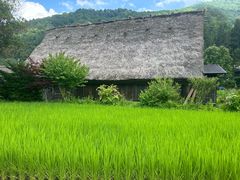 -白川乡与五箇山的合掌构造村落