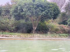 -三江森林温泉度假区