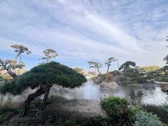 -罗红摄影艺术馆