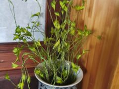 -礼耕堂·百年茶人餐厅(梅家坞店)