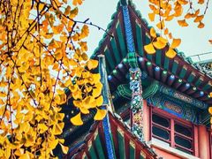 -郑和公园