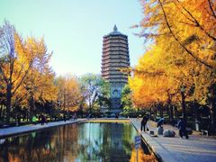 -玲珑塔公园