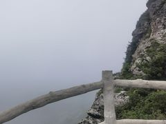 -牛背梁国家森林公园