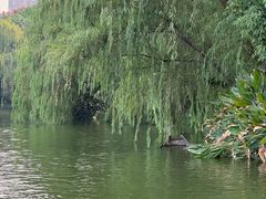 -杭州城北体育公园