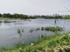 -武汉园博园(武汉自然博物馆)