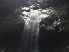 -九龙江国家森林公园