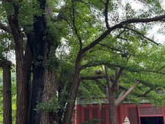 -红螺寺