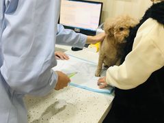 -宠爱国际动物医院·疑难骨科·心肾内科·皮肤科(太阳宫店)