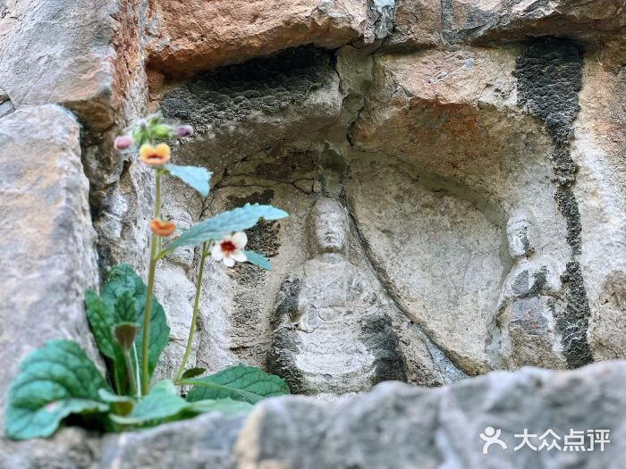 龙门石窟图片
