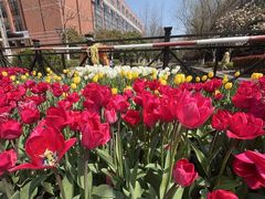 -杭州电子科技大学(下沙校区)