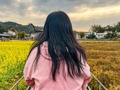-红山村