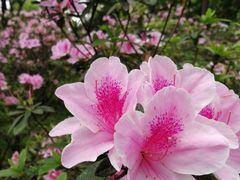 -春晖饭堂(中山大学南校区店)