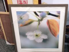 -宸宸画框裱画配框工厂店(莘庄店)