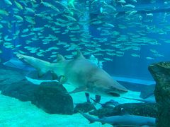 -海合安成都极地海洋公园