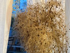 -肥朵食堂(带梦胡同店)