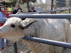 -长白岛森林公园